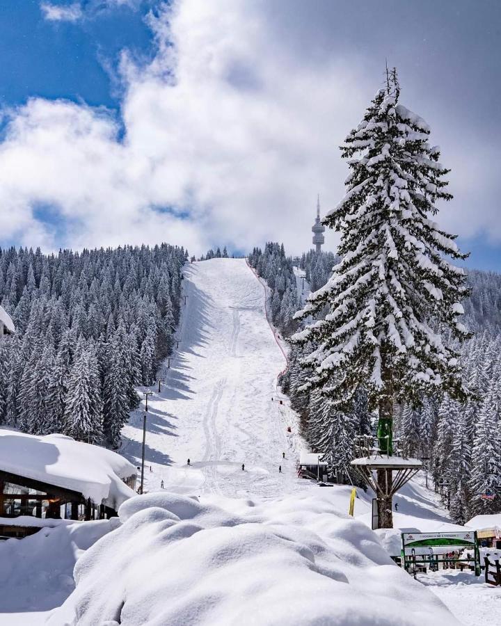 Мезонет Лапландия Pamporovo Dış mekan fotoğraf